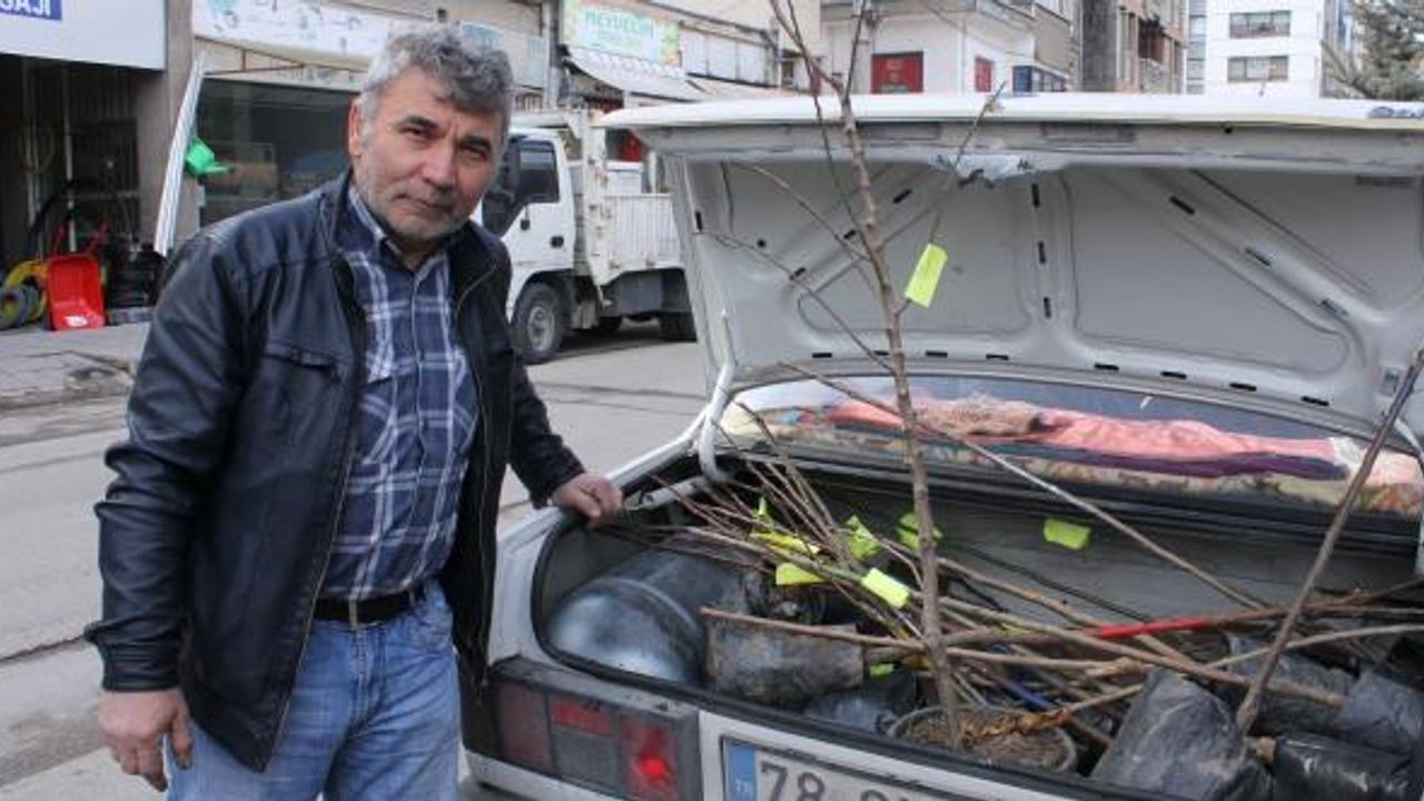 İlk cemre düştü fidancılarda hareket başladı
