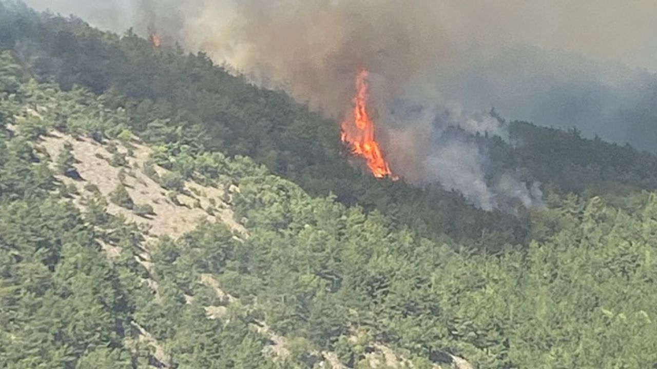 Eskişehir’de orman yangını kontrol altına alındı