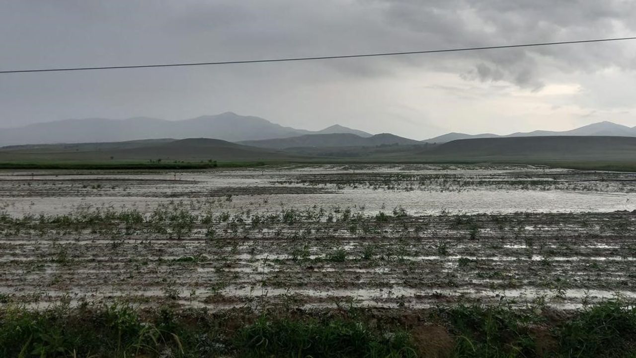 Eskişehir'de sağanak ve dolu yağışı tarım arazilerini vurdu
