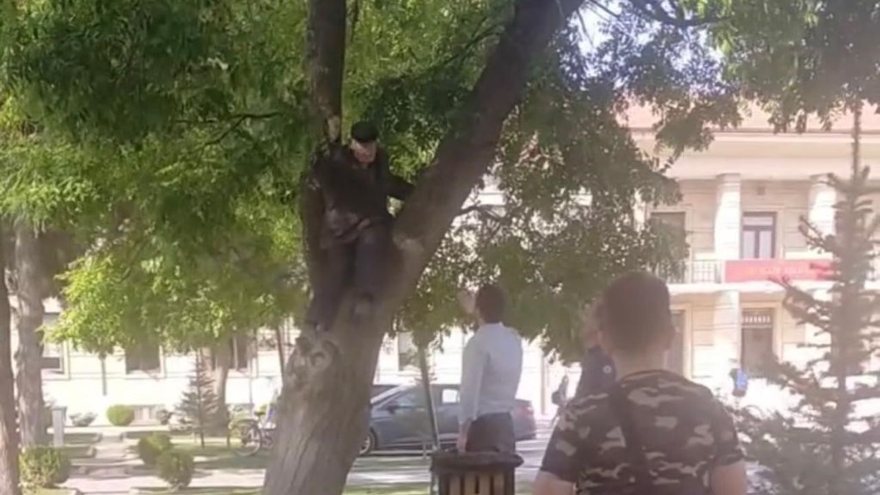 Eskişehir'de maaşını alamayan vatandaş valilik önünde ağaca çıktı
