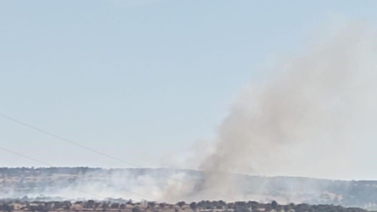 Eskişehir’de orman yangını: Söndürme çalışmaları devam ediyor