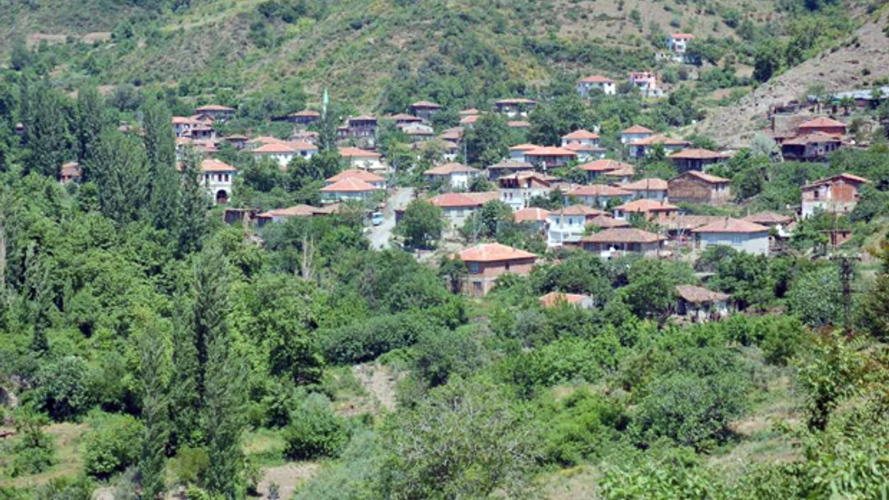 Tekirdağ'da gizli cennet: 'Süleymanpaşa Yeniköy'