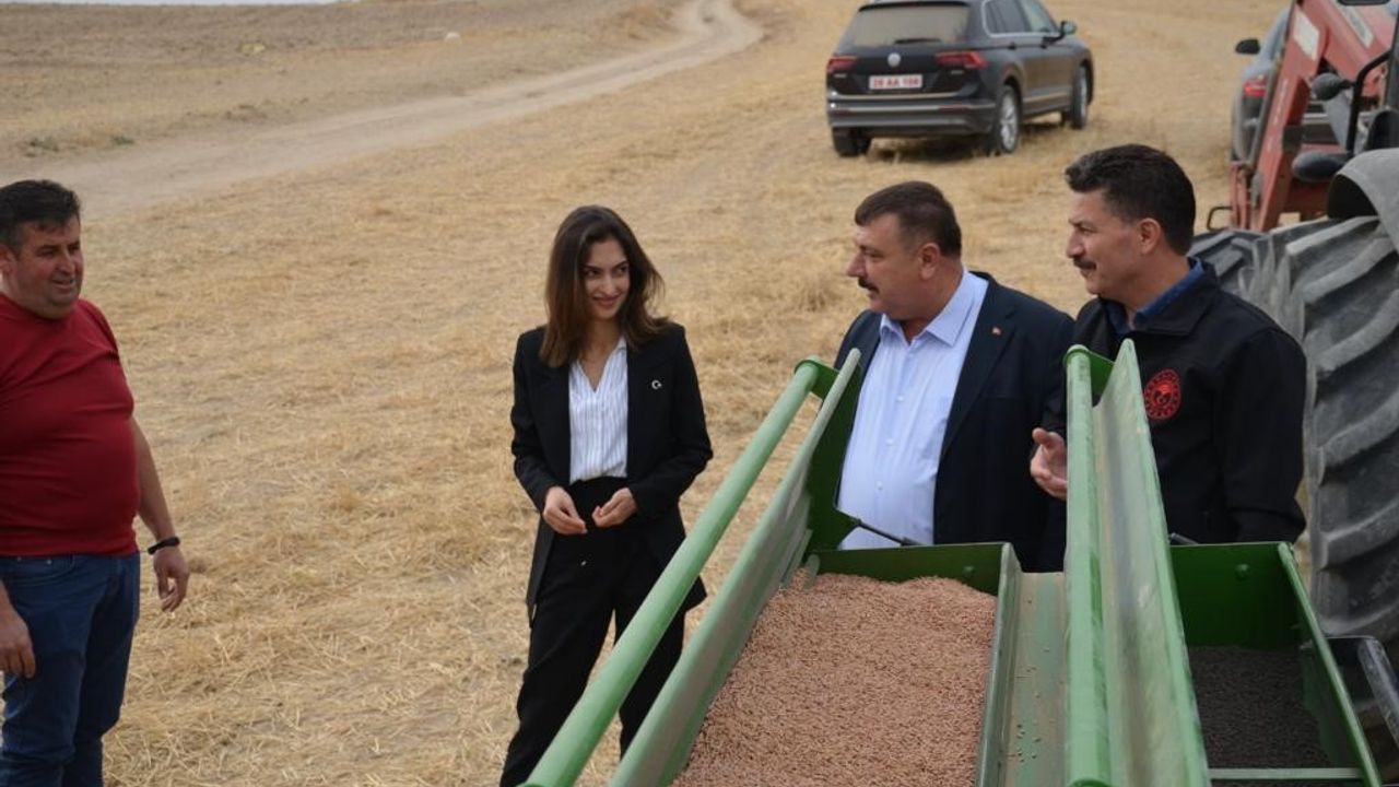 Beylikova'da 4 milyon metrekare tarım arazisine hububat ekimi başladı