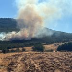 Eskişehir'de orman yangını