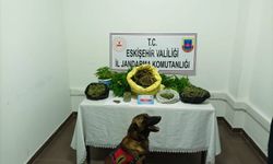 Jandarmadan uyuşturucu operasyonu