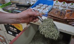 Yaz mevsiminin gelmesiyle zayıflama çaylarına talepler yoğunlaştı