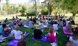 Tabiat içinde yoga ve sağlıklı beslenme kampı