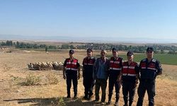 Dron destekli çalışma ile bulunan küçükbaş hayvanlar sahibine teslim edildi