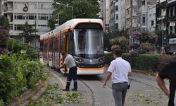 Eskişehir'de rüzgarda kırılan dal tramvay seferlerini aksattı