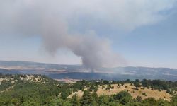 Ormana sıçrayan anız yangını yerleşim yerlerine doğru ilerliyor