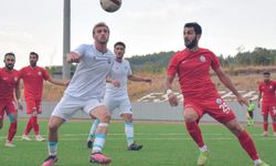 Anadolu Üniversitesi Türkiye Kupası'nda istediğini alamadı