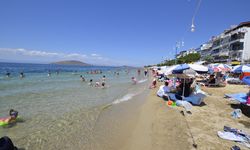 Avşa Adası Otelleri Güvenilir ve Ekonomik Tatil Sitesi Avşa Tatil Rehberi'nde!