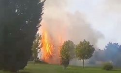 Parkta yangın çıktı, faciadan dönüldü