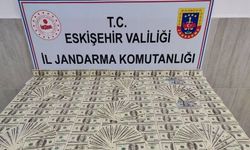 Eskişehir'de milyonluk sahte dolar operasyonu