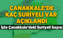 Çanakkale'de kaç suriyeli yaşıyor? İşte Çanakkale'deki suriyeli sayısı