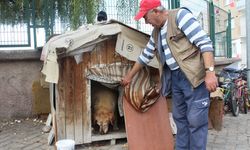 22 senedir beslediği kedilerin ve köpeği 'Tombik'in mamasını eksik etmiyor