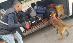 Jandarma ekiplerinden aranan şahıslara operasyon