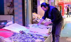 Eskişehir'de havalar ısındı balıkçı esnafın satışları azaldı