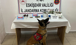 Eskişehir'de uyuşturucu yetiştiren 2 şüpheli yakalandı