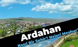 Ardahan Nasıl Bir Şehirdir, Neleri Meşhurdur?