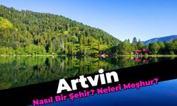 Artvin Nasıl Bir Şehirdir, Neleri Meşhurdur?