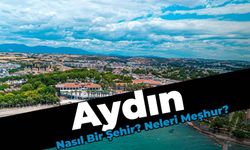 Aydın Nasıl Bir Şehirdir, Neleri Meşhurdur?