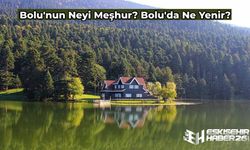 Bolu’nun Neyi Meşhur? En Sevilen Bolu Yemekleri