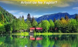 Doğu Karadeniz'in Uç Noktası Artvin'de Ne Yapılır? 10 Öneriyi Değerlendirin