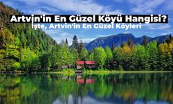 Artvin’in En Güzel Köyü Hangisi? Doğasıyla Büyüleyen Artvin’in En Güzel Köyleri