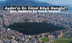 Aydın’ın En Güzel Köyü Hangisi? Birbirinden Güzel Manzaralara Sahip Aydın’ın En Güzel Köyleri