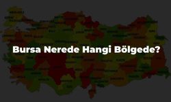 Yeşil Doğasıyla Bursa Hangi Bölgede, Nerede Bulunuyor? Dikkat Çeken Bursa İlçeleri Hangileri?