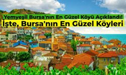 Bursa’nın En Güzel Köyü Hangisi? Mutlaka Ziyaret Etmeniz Gereken Bursa’nın En Güzel Köyleri