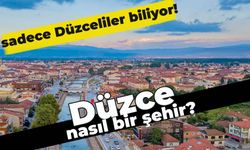 Düzce Nasıl Bir Şehirdir? Sadece Düzcelilerin Bileceği 5 Detay