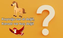 Kuyruğu Var At Değil Kanadı Var Kuş Değil Cevabı Nedir?