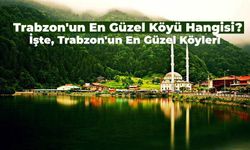 Trabzon'un En Güzel Köyü Hangisi? Mutlaka Görmeniz Gereken Trabzon'un En Güzel Köyleri