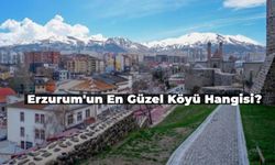 Doğu’nun İncisi Erzurum’un En Güzel Köyü ile Tanışın! İşte, Erzurum’un En Güzel Köyleri