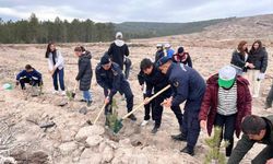 Jandarma ekipleri fidan dikme etkinliğine katıldı