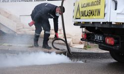 Odunpazarı’nda rögar ve kanalizasyonlarda kışlak mücadelesi