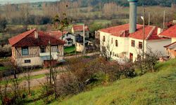 Burada evi, arsası olanlar paraya para demeyecek: Bolu’nun en güzel köyleri seçildi!