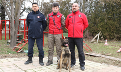 Eskişehir'in arama kurtarma köpeği 'Adam' afetlere hazırlanıyor