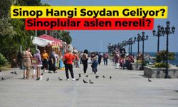 Yüzyıllardır yaşam başkentiydi: Peki Sinop hangi soydan gelir? Sinoplular aslen nereli?