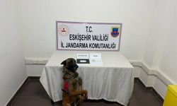 Eskişehir’den Beylikova’ya uyuşturucu taşıyan şahıs yakalandı