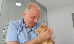 Kedisini veterinere götürürken ceza yedi, mahkeme iptal etti