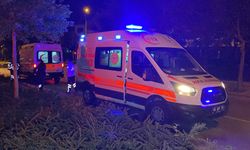 Eskişehir’de kontrolden çıkan otomobil aydınlatma direğine ve ağaca çarptı