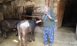 Büyükşehir’den üreticiye destek, kırsalda verim arttı