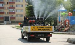 Odunpazarı Belediyesi'nden kenelere karşı mücadele