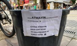 Lütfen bu uyarıya önem verin