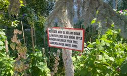 Bayram amcanın bahçeye yerleştirdiği özlü sözler dikkat çekiyor