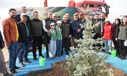 Yeşil Vatan Şehidi Eyüp Dereli İçin Hatıra Ormanı