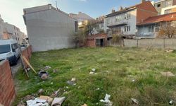 Eskişehir’de Boş Arsada 8 Kedi Ölü Bulundu